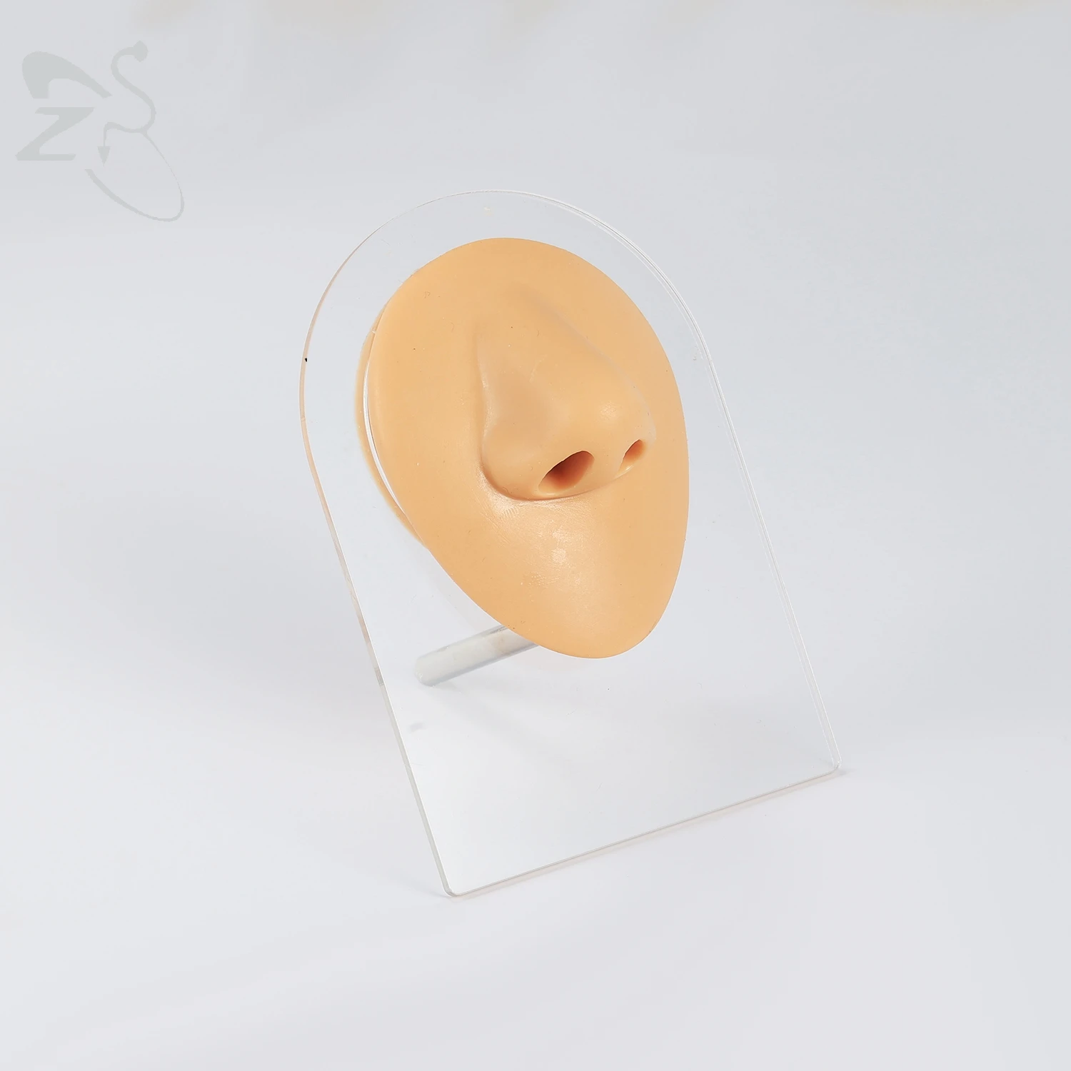 ZS 1PC Silicone Piercing Practice Body Parts for Women Men 3D Flexible Simulation Nose Tongue Ear Navel Model  Jewelry Display