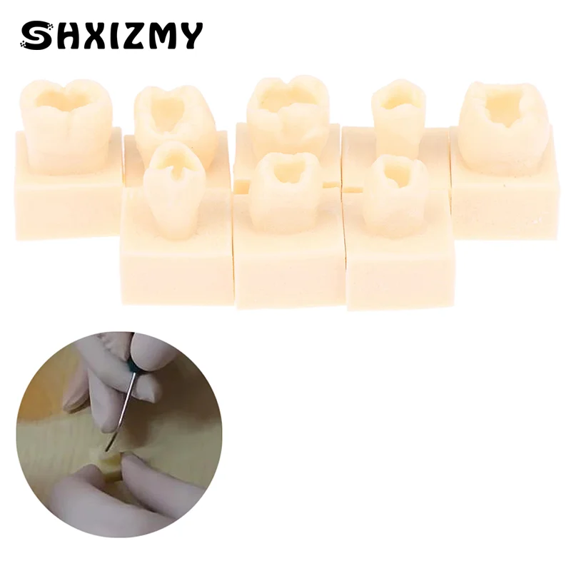 

8pcs/Kit Dental Posterior Student Training Test Model Practice Composite Resin Filling Teeth Jaw Dentistry Equipment