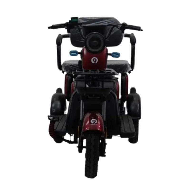 Long Range 3 Wheel Electric Mobility Scooter 60V 20Ah Streetbike Cheap Price Two Seats For Adults