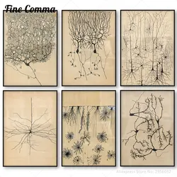 Santiago Ramon y Cajal Neuron Drawing Vintage Poster Brain Anatomy Wall Art Canvas Print Neuroscience Biology Illustration Decor