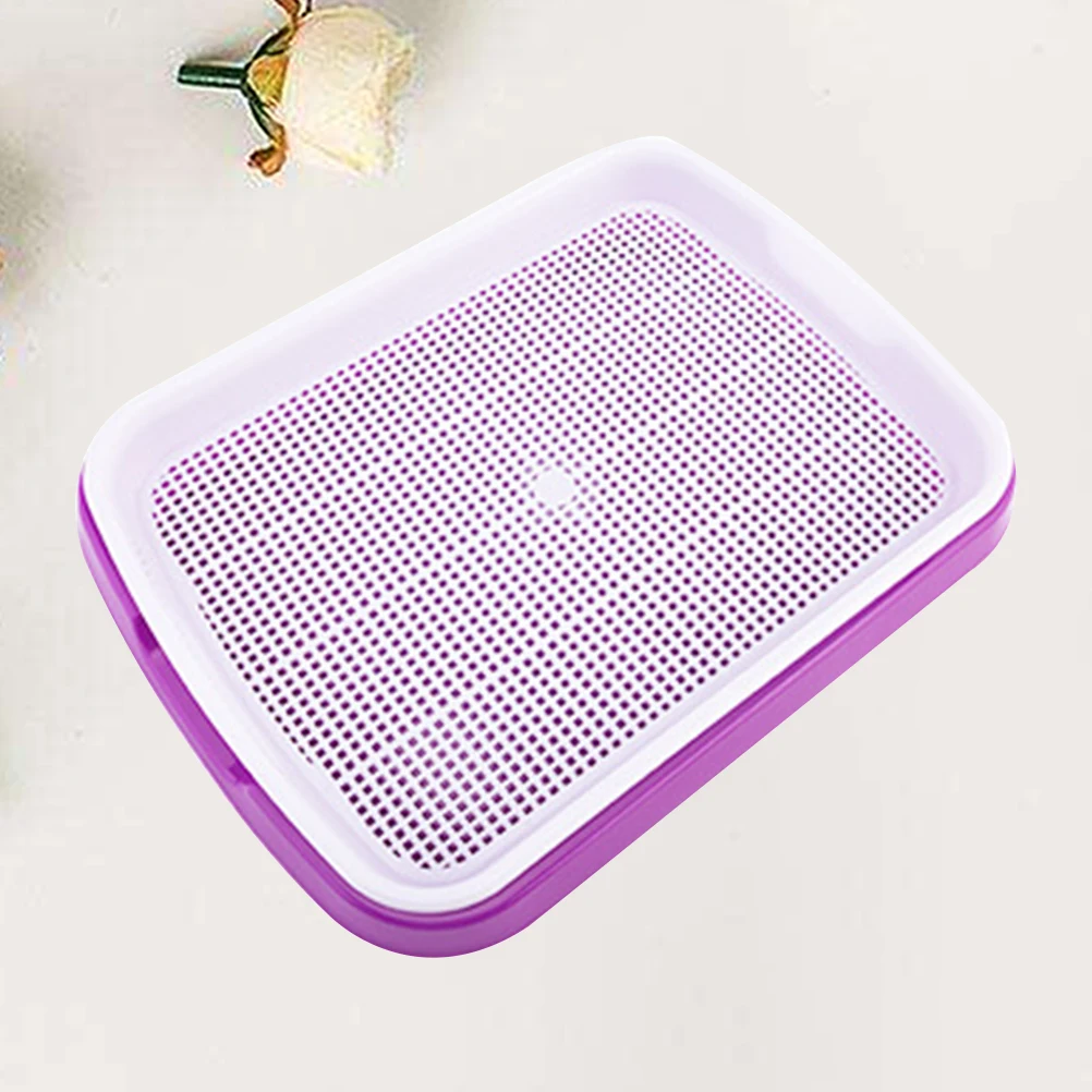 

Sprouting Traybpa Free Pp Soilless Seed Sprouter Grid Design Ventilated For Wheatgrass Purple 35X26X5Cm
