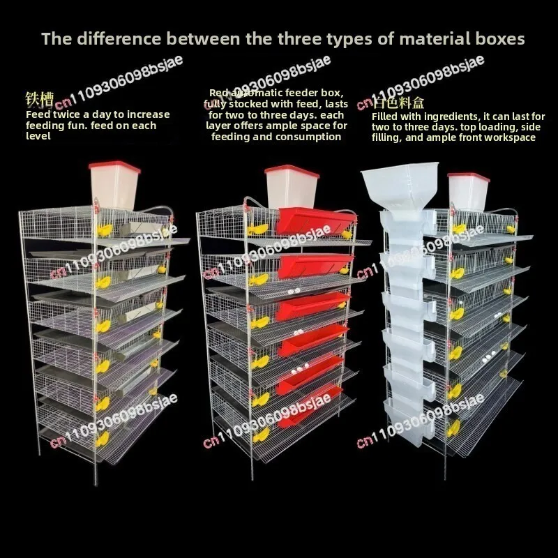 H-shaped vertical egg-laying quail cage on the 6th floor can automatically clear manure, feed and drink water bold