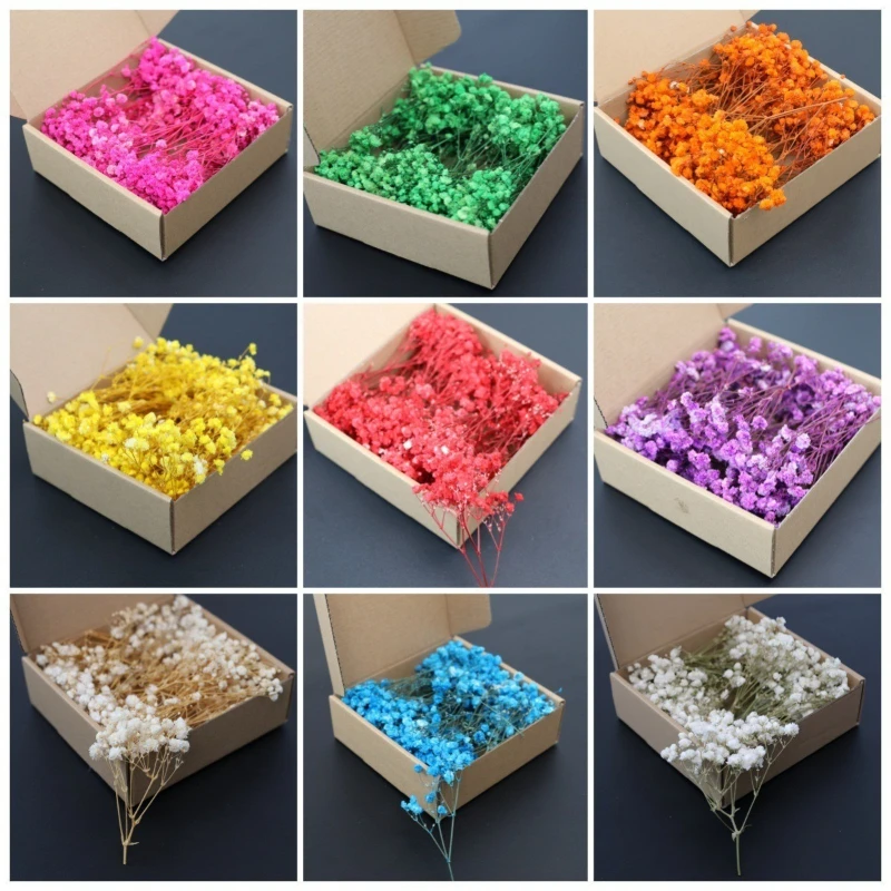 Baby Breath Dried - 50 ou 100 unidades de Gypsophila