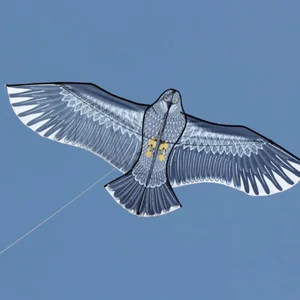 Kite Eagle mit Griff und Linie für Kinder oder Erwachsene, lustige Outdoor -Sportarten, guter Flug, 59 Zoll, Neuankömmling 6 Hauptverkaufskite Cabrinha - №6