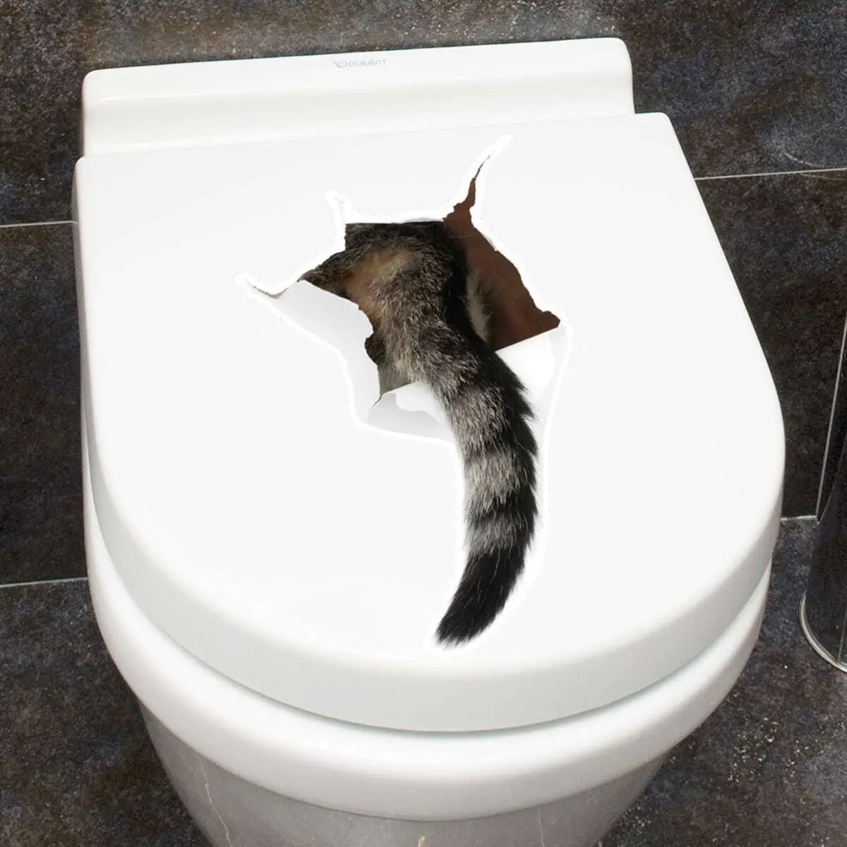 1pc-3D beautification toilet sticker with cat tail hole wall sticker creative toilet cover decorative sticker