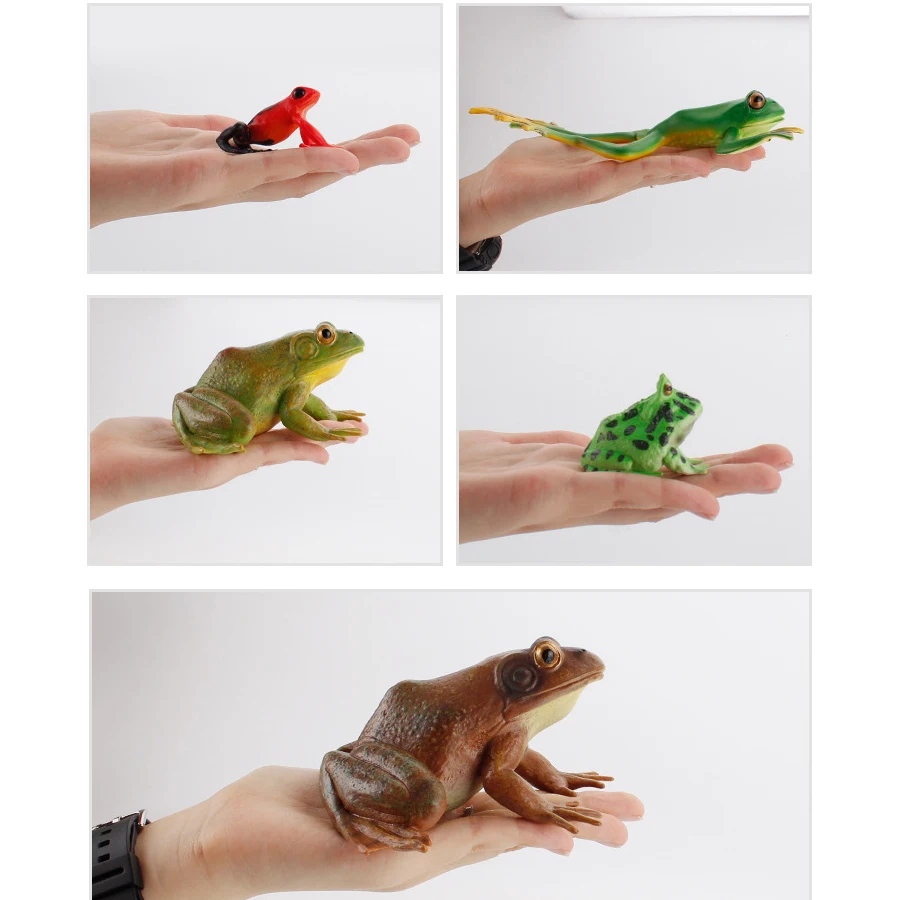 Realistic Plastic Rainforest Woodland Animals Toy Bullfrog Tree Frog Pacman Frogs Model Figures Garden Flowerpot Plants Decor