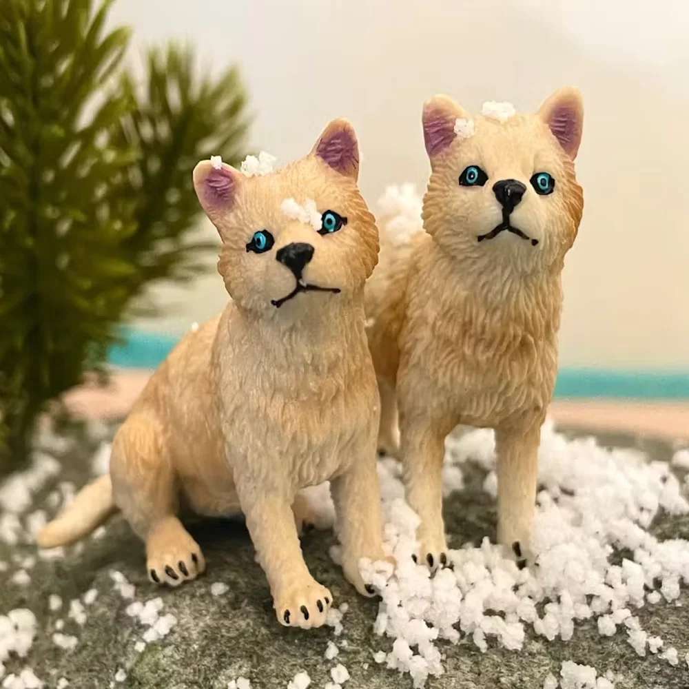 Toymany محاكاة الأبيض القطب الشمالي الذئب شبل الحياة البرية نماذج للحيوانات لعبة شخصيات صغيرة دمى عمل التماثيل لعب الأطفال هدية
