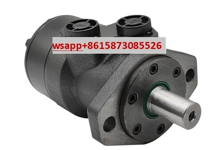 Oil motor cycloidal hydraulic RMR-BMR low-speed high torque forward and reverse drive assembly with two holes