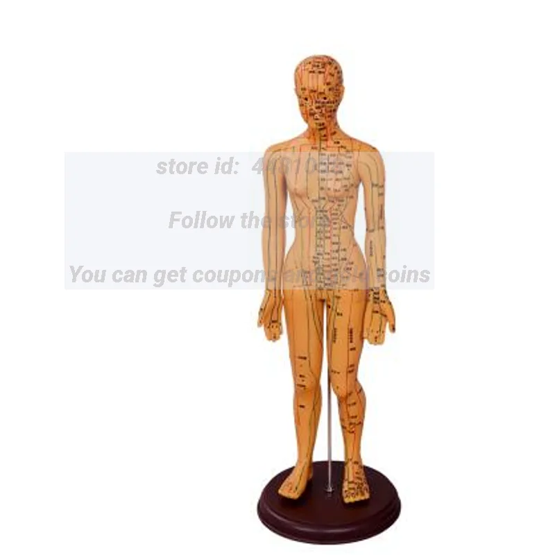 Female Lettering Point Mini Body Mannequin, Acupuncture, Medical Research, Massage, Reflex Zone Teaching Model, C518, 35cm