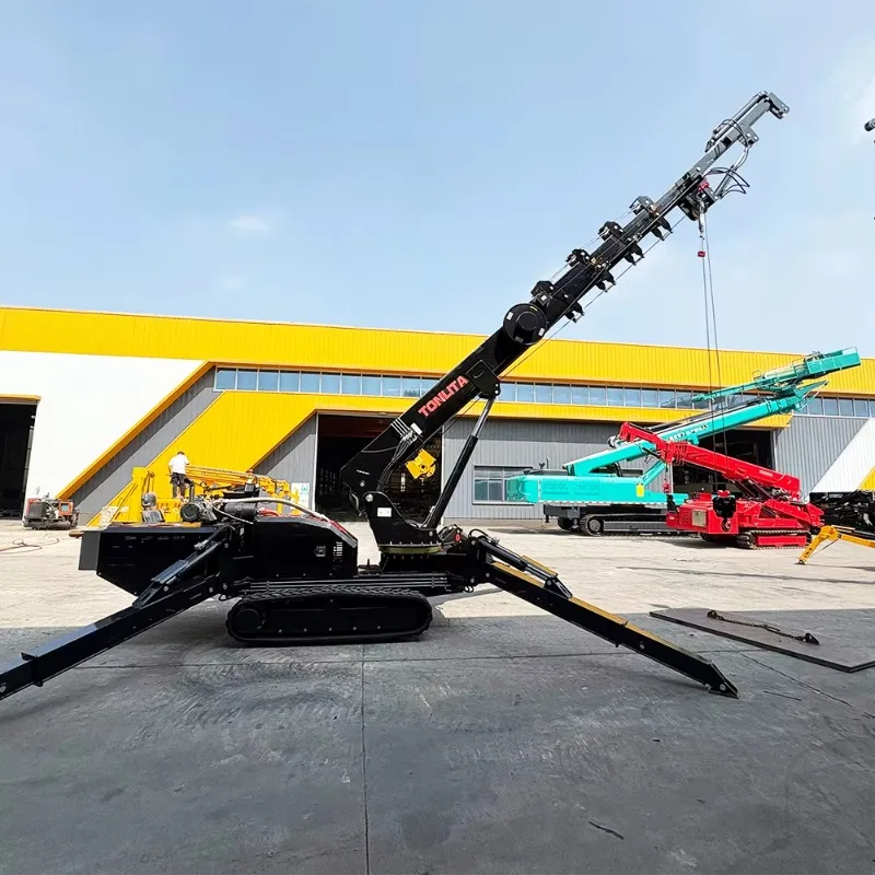 Customized Crane Indoor Out Door Diesel Electric Crawler Hydraulic Telescopic Boom Arm RC Glass Suction Cup Basket Spider Crane