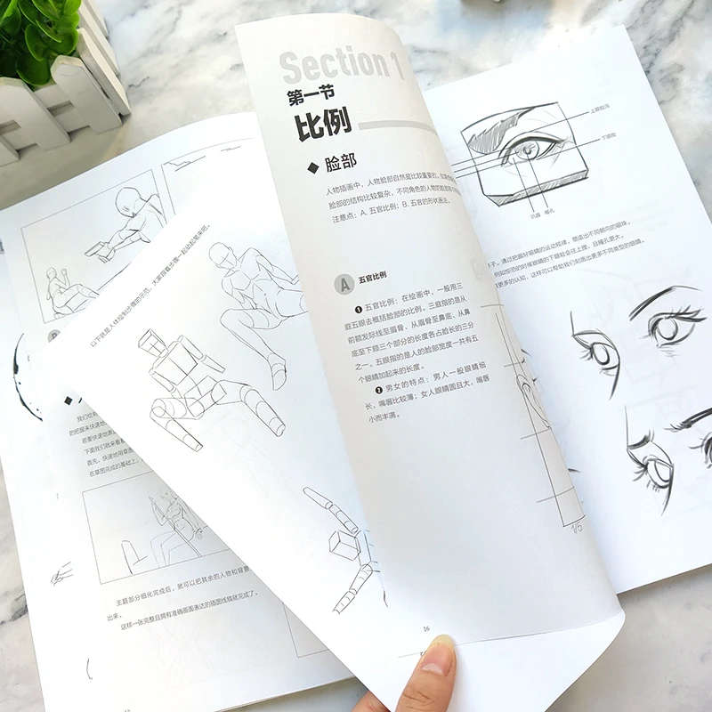 Body Structure Illustration, Basic Tutorials, Body Sketching, Dynamic Structure, Technique Tutorials, Body Structure Modeling