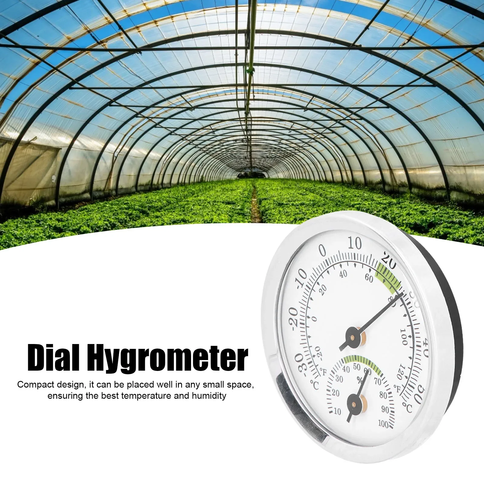 Dial Type Thermometer Hygrometer Mini Hygrometer For Humidors Greenhouse Garden Home Safe