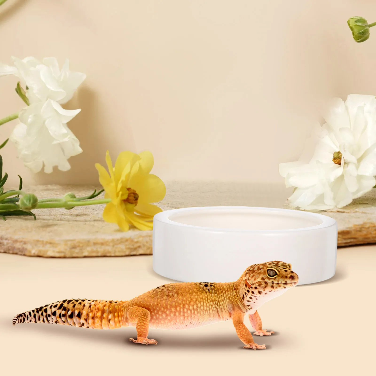 

2Pcs Reptile Feeding Basin Ceramics Bowl Lizard Feeder Thicken Design Anti-Escape Smooth Surface Easy Clean White Round