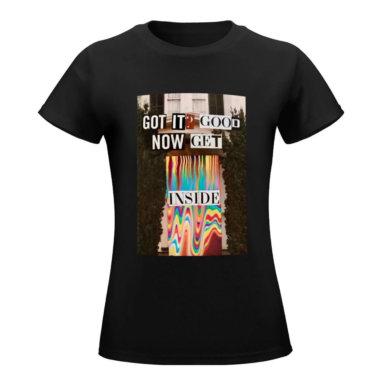 Got it Good Now Get Inside T-Shirt graphics animal print shirt for girls cute tops black t-shirts for Women