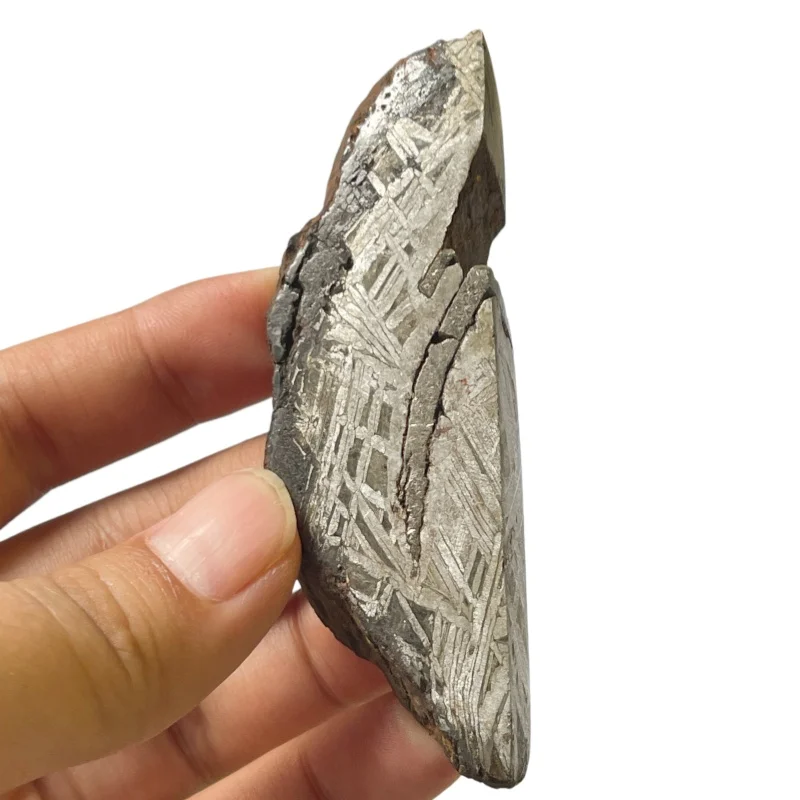118g Muonionalusta meteorite slice Natural iron meteorite material specimen Meteorite slice Collection -TC777