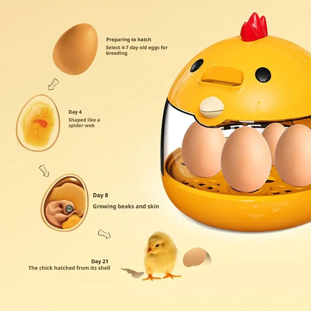 Mini Egg Incubator Light Transparent Window Automatic Temperature Humidity Control 5 Eggs Poultry Hatching Machine For Home C4Z4
