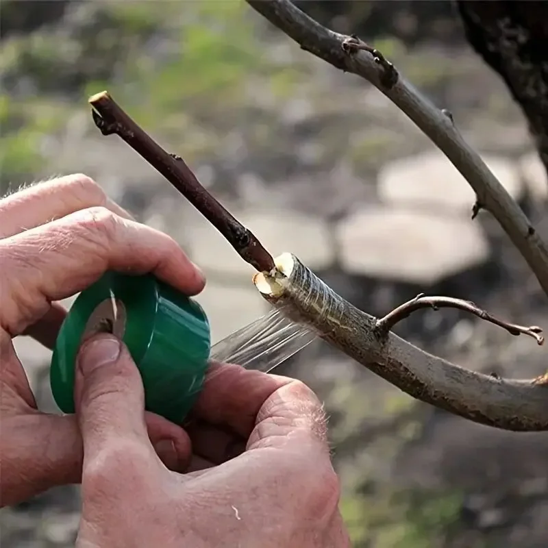 เทปกาวพลาสติก PE สำหรับต่อกิ่ง - Grafting Tape บทวิจารณ์และราคา