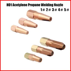 Pure Copper Acetylene Propane Gas Welding Nozzle H01-6, H01-12, H01-20 Plum Blossom Welding Nozzle