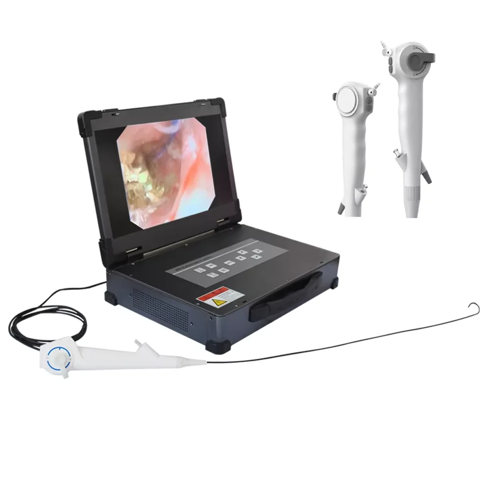 DP Disposable Electric Digital Flexible Cystoscope CE Certified Class II 1 Year Warranty for Urological Endoscopic Video