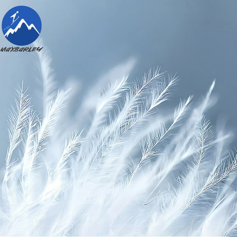 Maxbarley Men Down Jacket 2025 Premium Stand Collar Korean Style Fashion Warm Puffer Jacket Street Style Lightweight Winter Coat