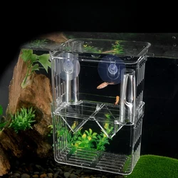 Fish tank isolation box Guppy breeding box Tropical fish small hatching box size baby fish incubator spawning room