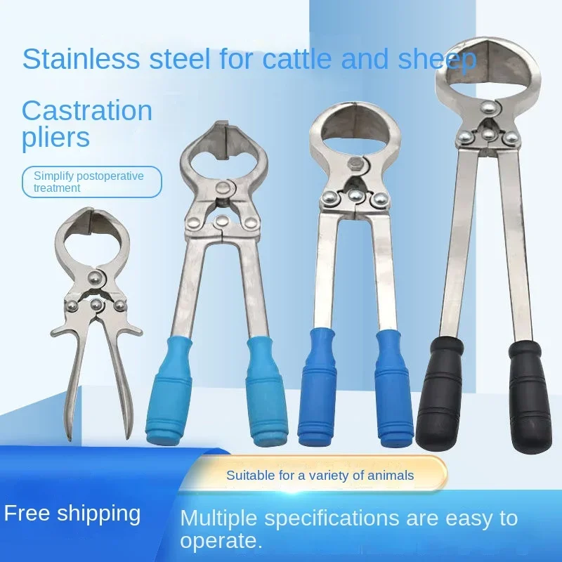 Cattle, sheep, stainless steel castration forceps, ram bloodless castration device, pig forceps, castration forceps, egg forceps