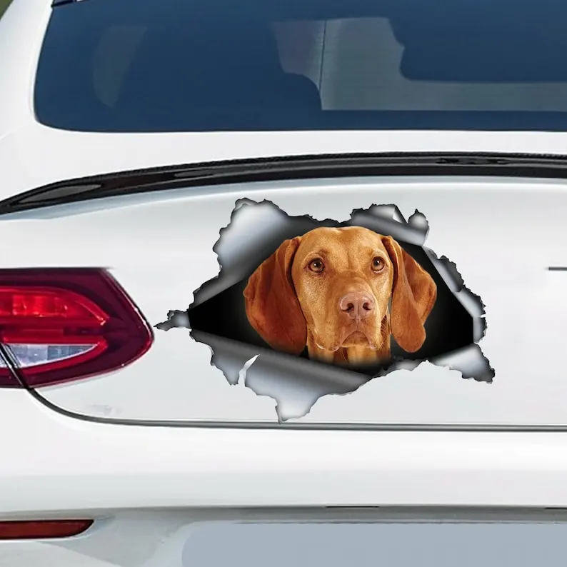 Vizsla car decal, Vizsla magnet, Vizsla car sticker, pet decal