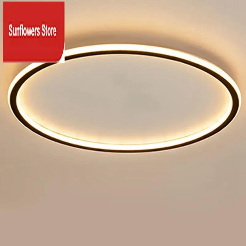 1 PCS LED Ceiling Light  Modern Decor Ceiling Light For Kitchen, Hallway, Office,Porch Bedroom 38W