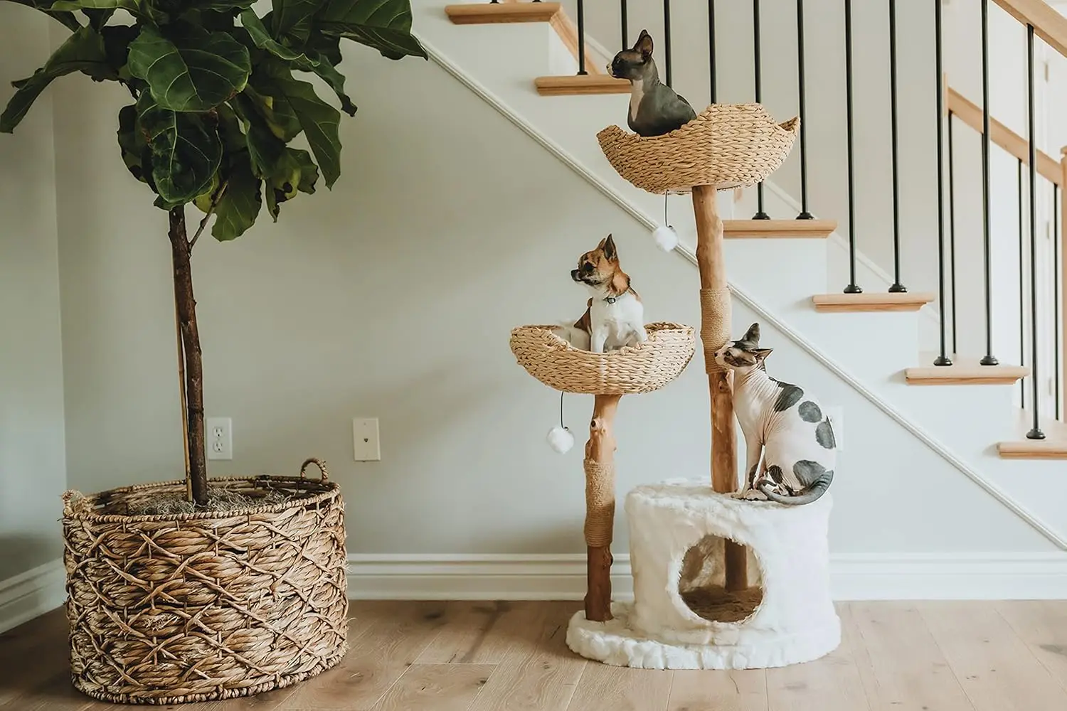 

MAU Modern Tree Tower for Large Cats, Real Branch Luxury Condo, Wood Cat Scratching Tree, Lover