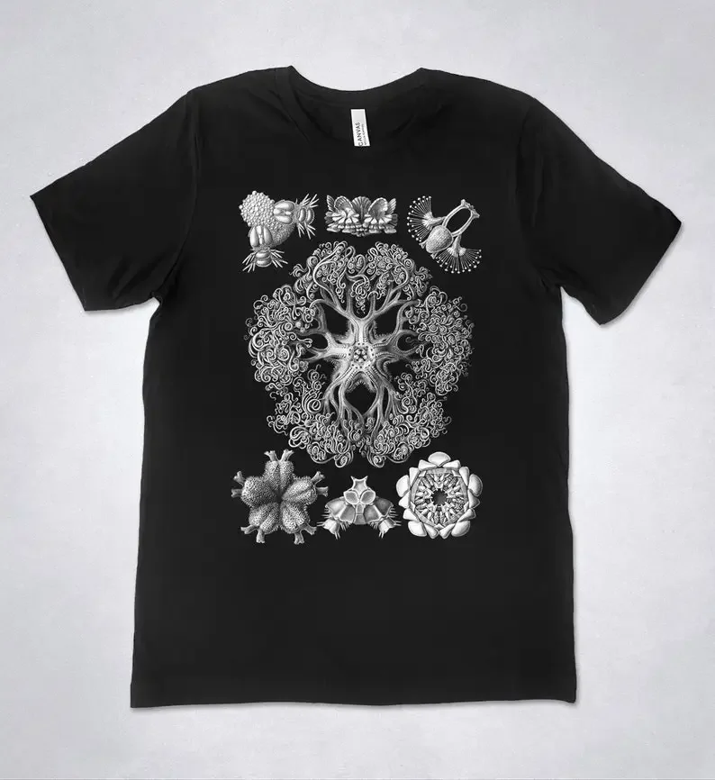 

Ernst Haeckel Ophiodea Botanical Art Shirt