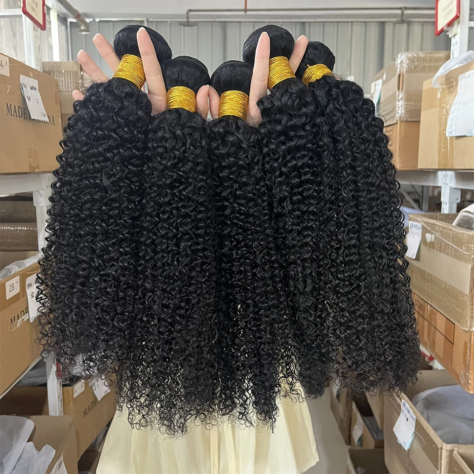 

Raw #1b Kinky Curly Human Hair Bundles 12A Brazilian Human Hair Bundles Unprocessed Double Weft Human Hair Weave Extensions Remy Hair Bundles Deals Natural Color Virgin Human Hair Bundles