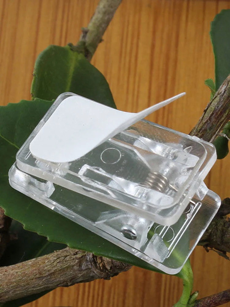 50pcs For Hanging Multifunctional Wall Tapestry Display Spring Loaded Heavy Duty Self Adhesive Clip Small Clear Portable Storage