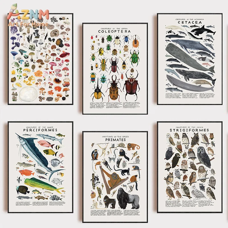 AZNM Animal Classification Canvas Wall Art, Lepidoptera Marsupial Print, Educational Biology Home Decor Poster, No Frame