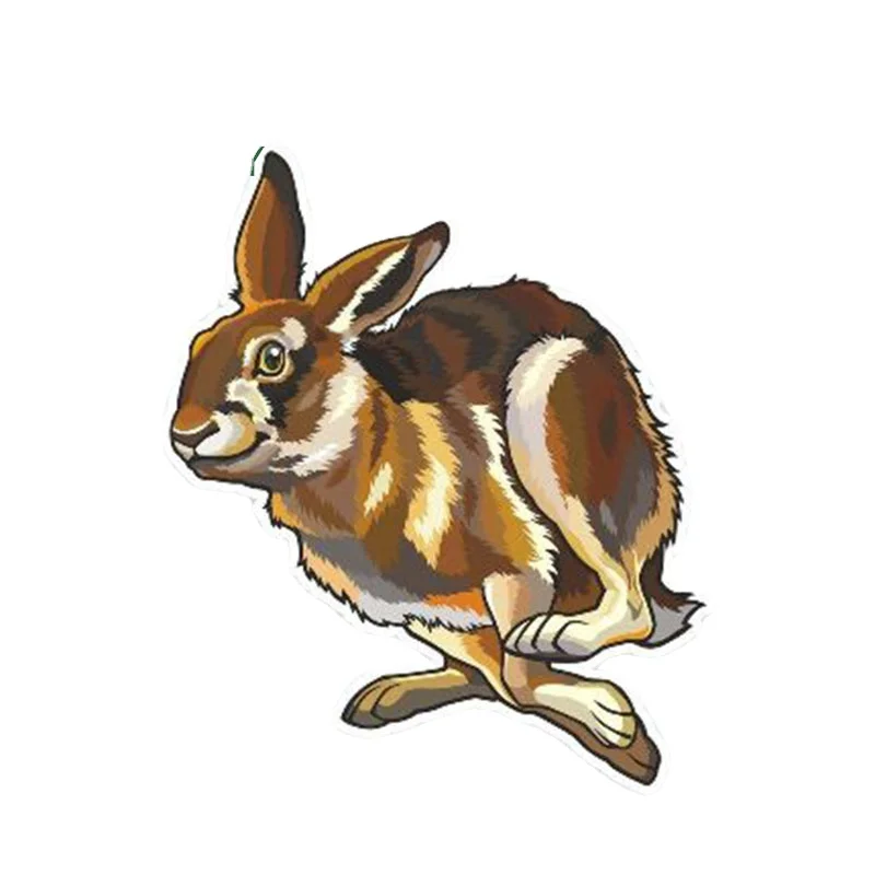 Y372# Car Sticker Happy Hare Vinyl Sticker Laptop Travel Luggage Decal Cartoon Car Styling Waterproof Graphic