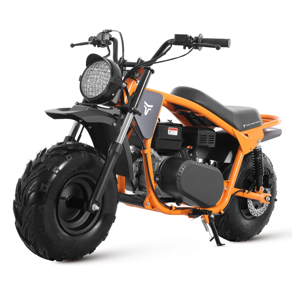 Hot Selling Motor 2025 New Steel Frame Fat Tire Dirt Bike 200cc Mini Bike