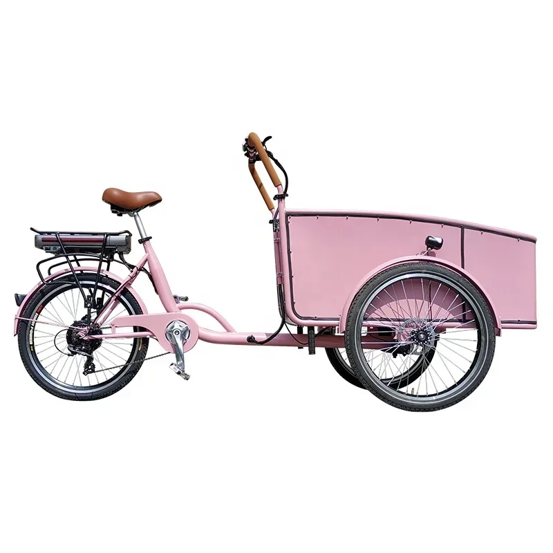 pink color electric cargo bike short trip