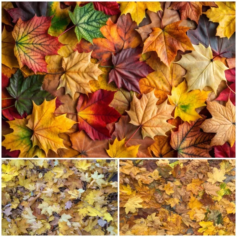 Autumn Maple Leaf Backdrop for Photography Natural Landscape Sunshine Birthday Kids Portrait Baby Shower Photo Background Banner