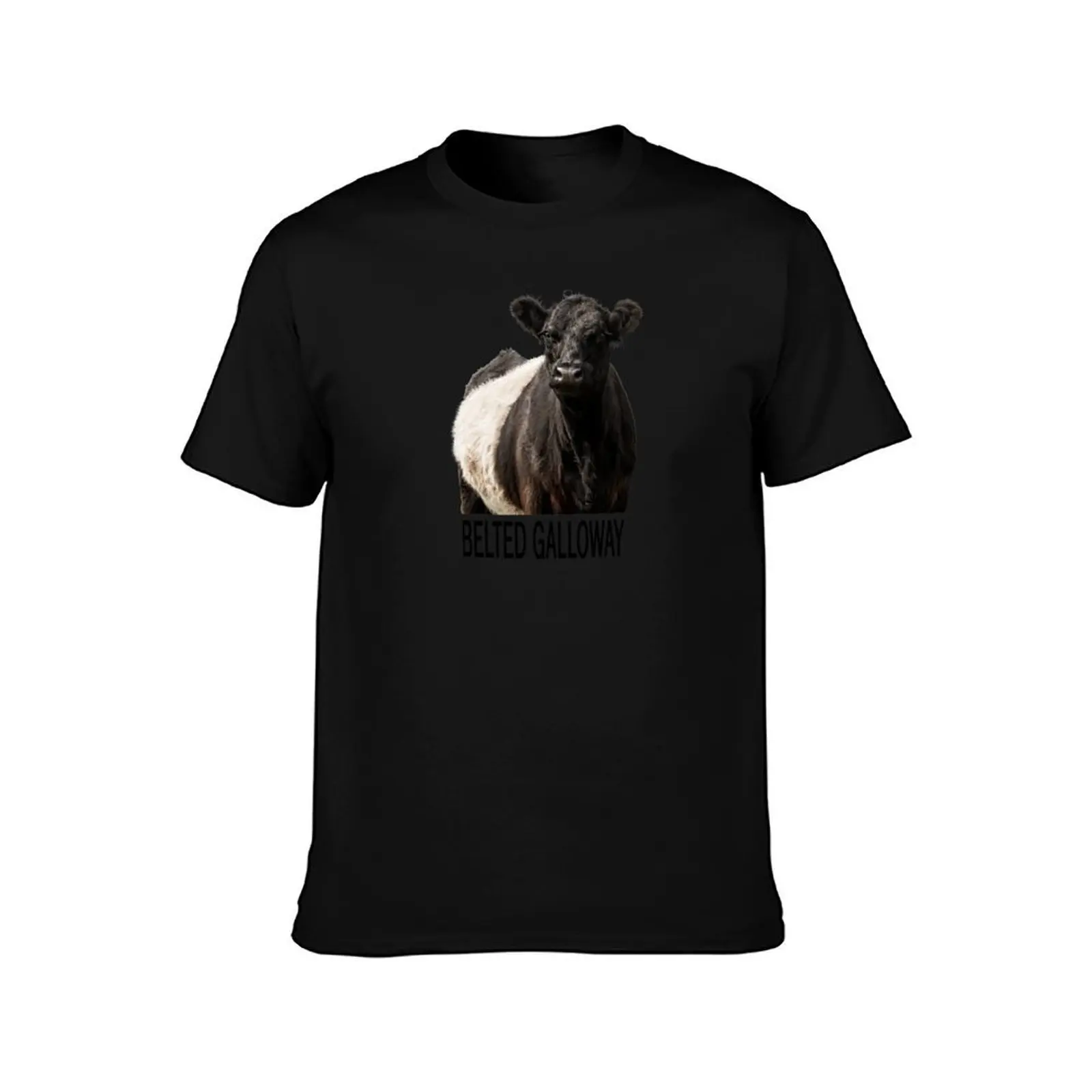 Belted Galloway Cow Portrait with Text T-Shirt, Summer Casual Cotton Tee, Oversized Streetwear Tops, Vintage Graphic Print