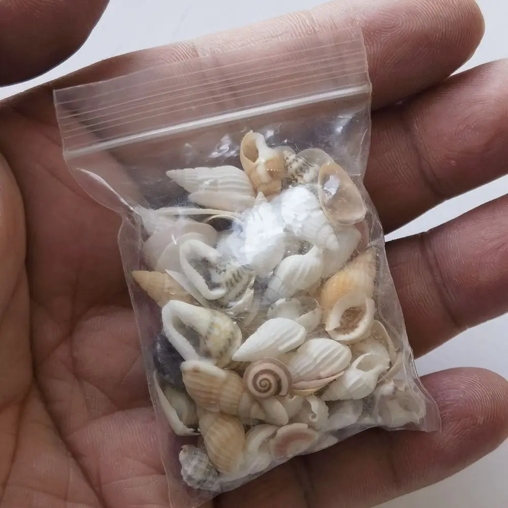 High Quality 0.3~0.6cm Mini Conch Shell Mini Beach Scene Finished Accessories Dollhouse Decoration