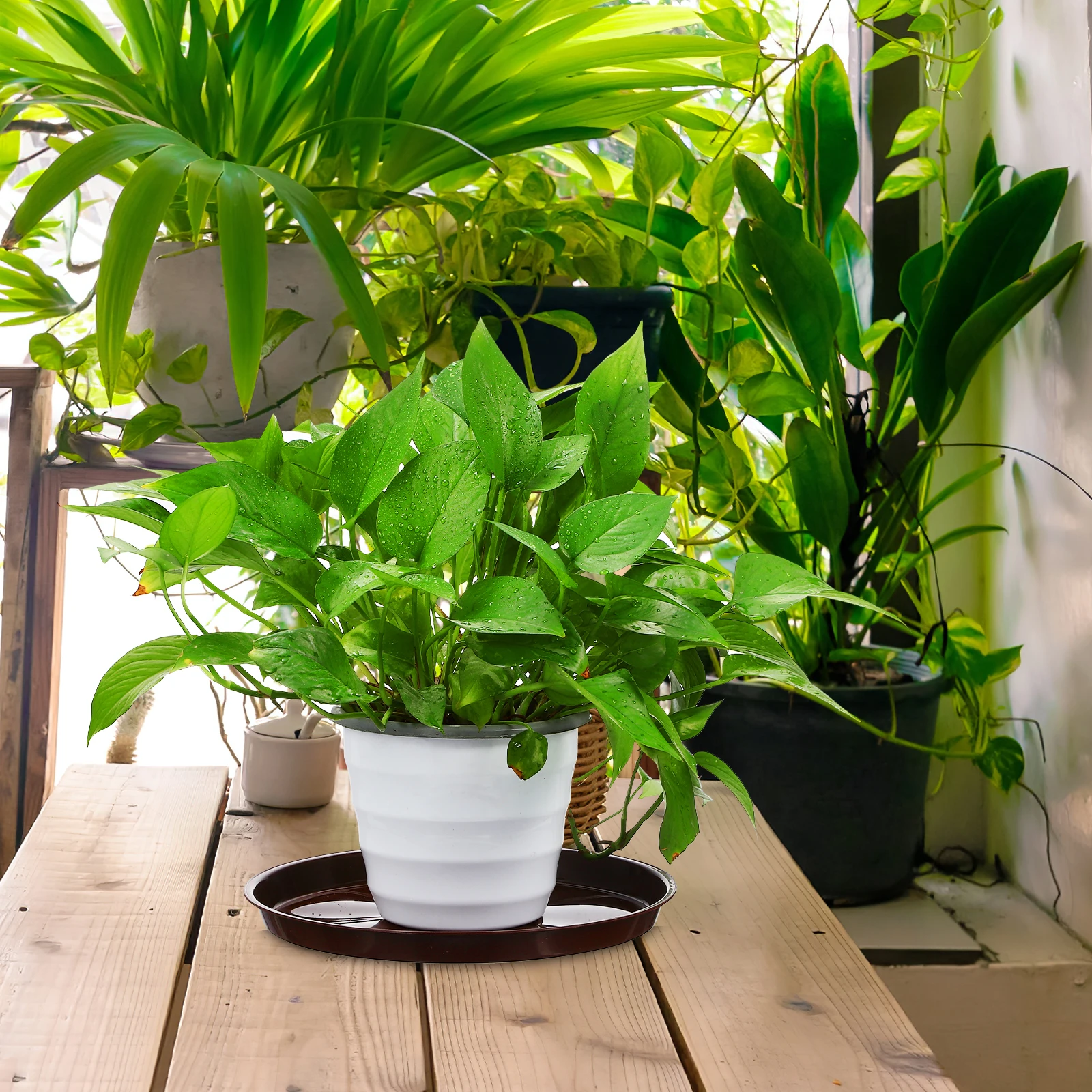 5 vassoi per vasi per piante in plastica, piattini rotondi per vasi da fiori, per interni ed esterni, riutilizzabili, resistenti al giardino, con bordo rialzato