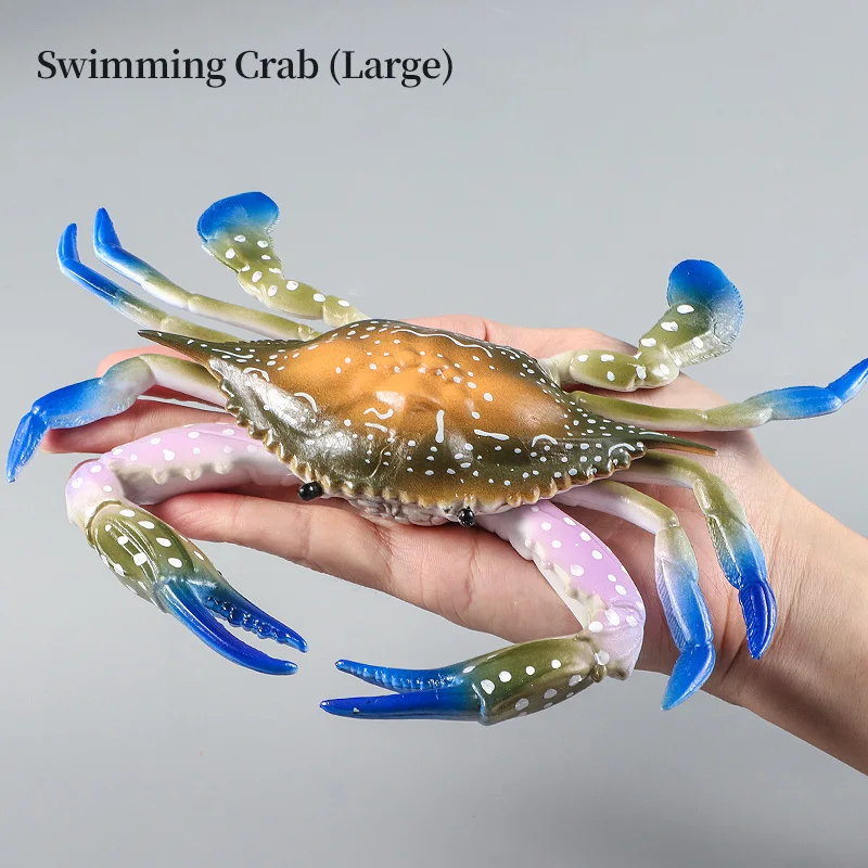 Zabawka symulacyjna dla dzieci - zwierzęta morskie - krab, homar, modele życia morskiego, figurki kolekcjonerskie, zabawka edukacyjna