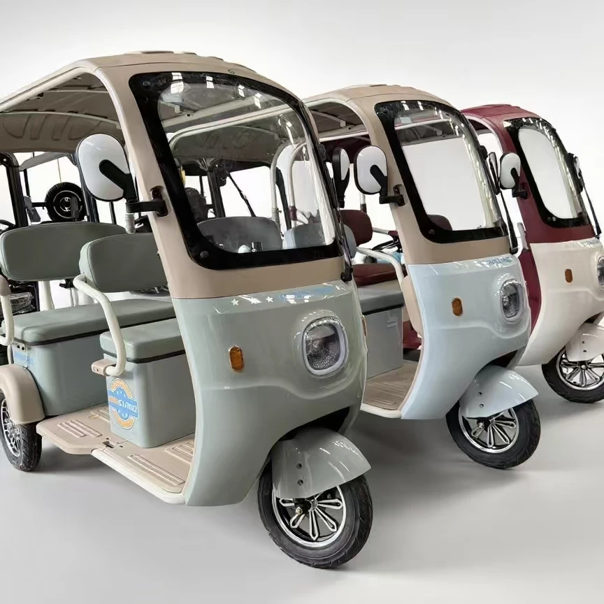 

Cheap Passenger and Cargo 800W 3 Wheel Electric Bike Adult Electric Tricycle Cargo Ebike with Roof