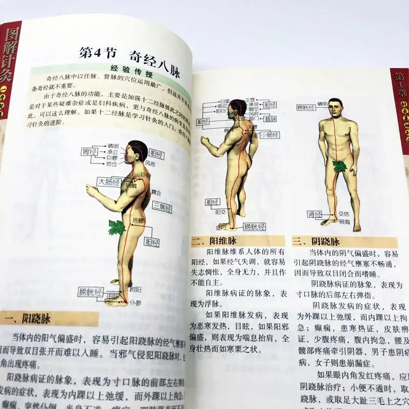 Illustrated acupuncture orthodox traditional Chinese medicine acupuncture therapy self-study introductory books and materials