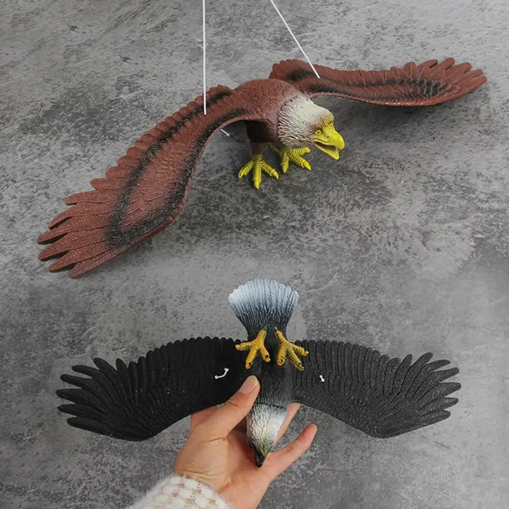 Simulated Eagle Model 3D Animals Figures Bird Scarer Realistic Education Ornament Eagle Toy Plastic Simulation Animal Bird T