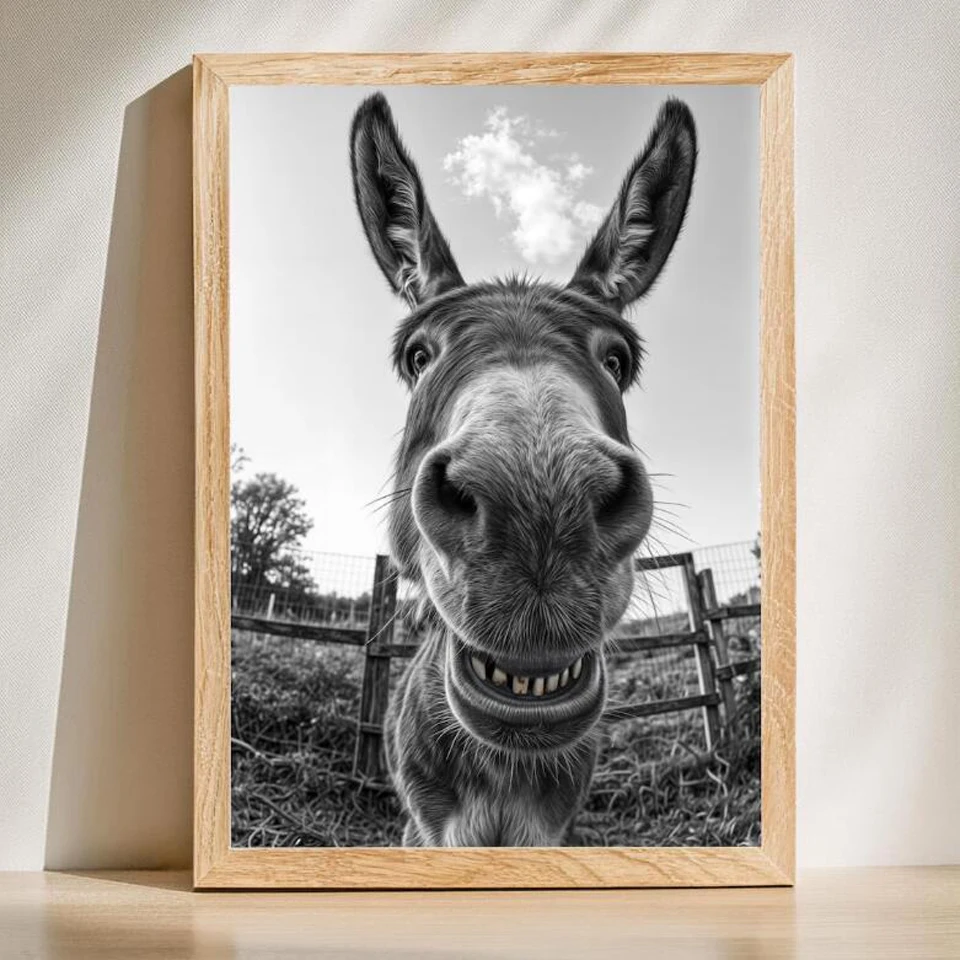 

Funny Donkey DIY Diamond Painting Kits Donkey Lover Gift, Humorous Farm Animal Decor, Black And White Animal Diamond Wall Art