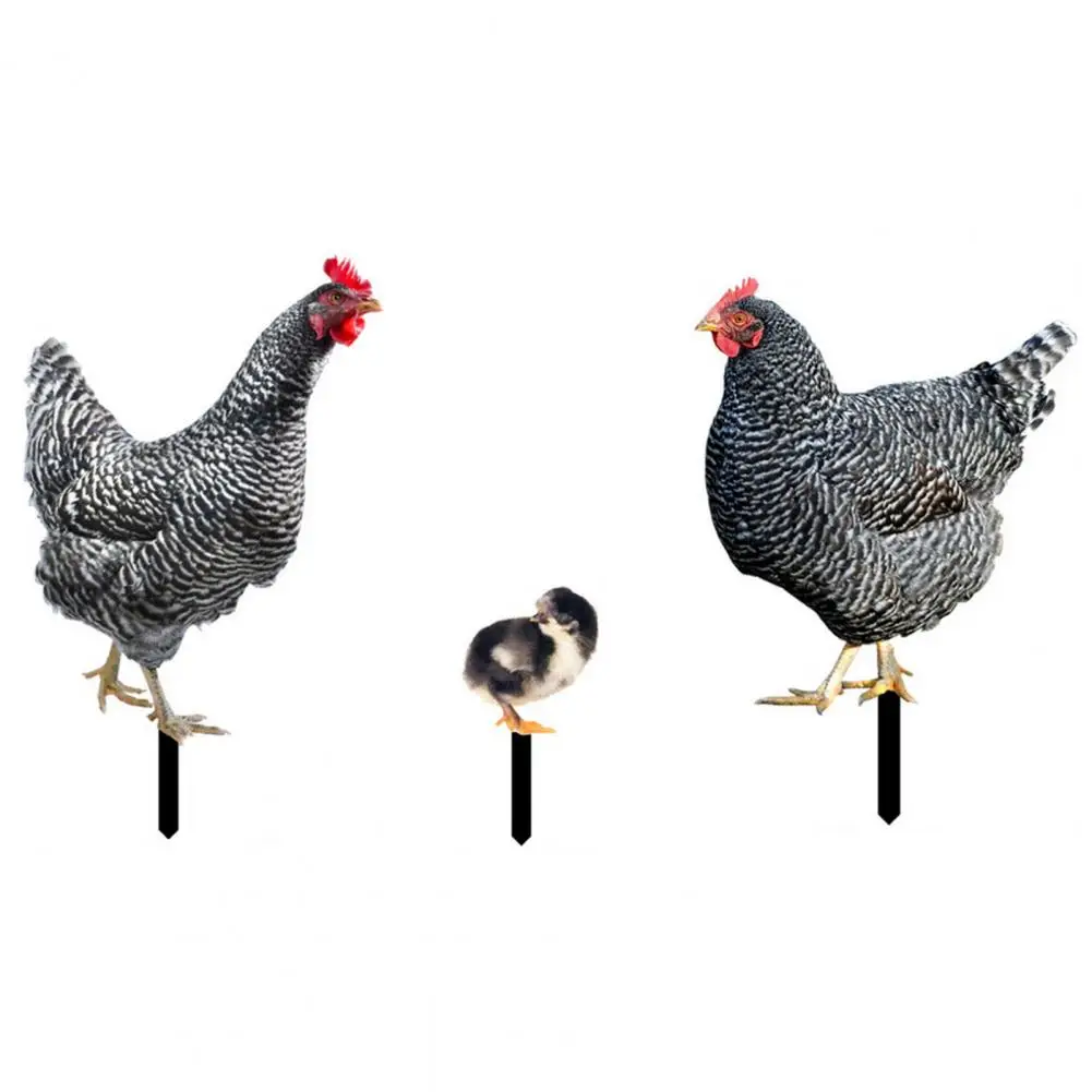 

Garden Stake Ornament 3Pcs Unique Wear-resistant Long Lasting Three-dimensional Chicken Figurine Garden Ornament Yard Supply