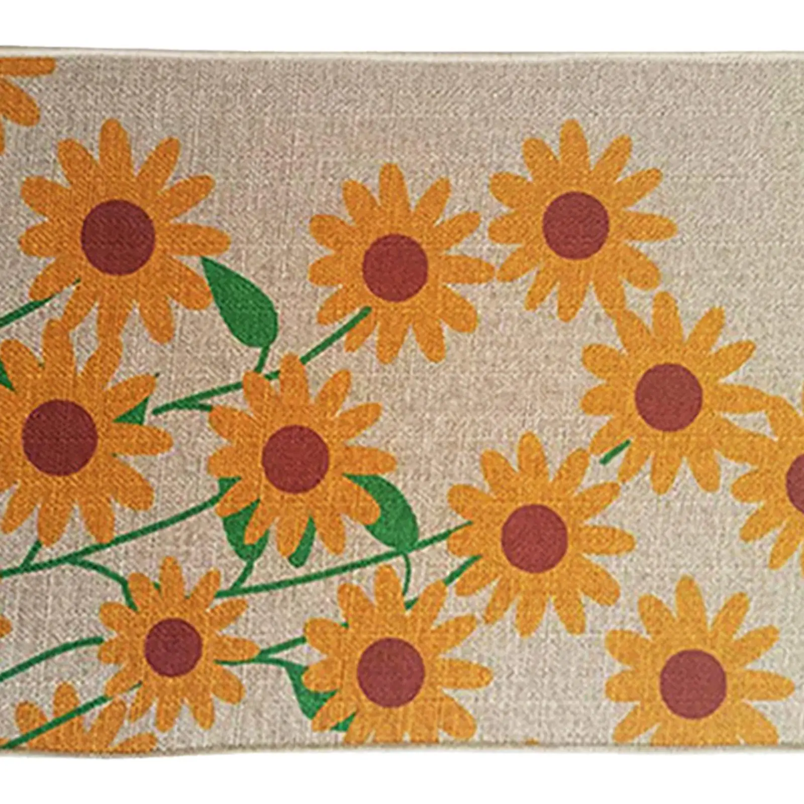 Door Mat Front Floor Mats Easy to Clean for Entry Patio Style 3 , Multicolor