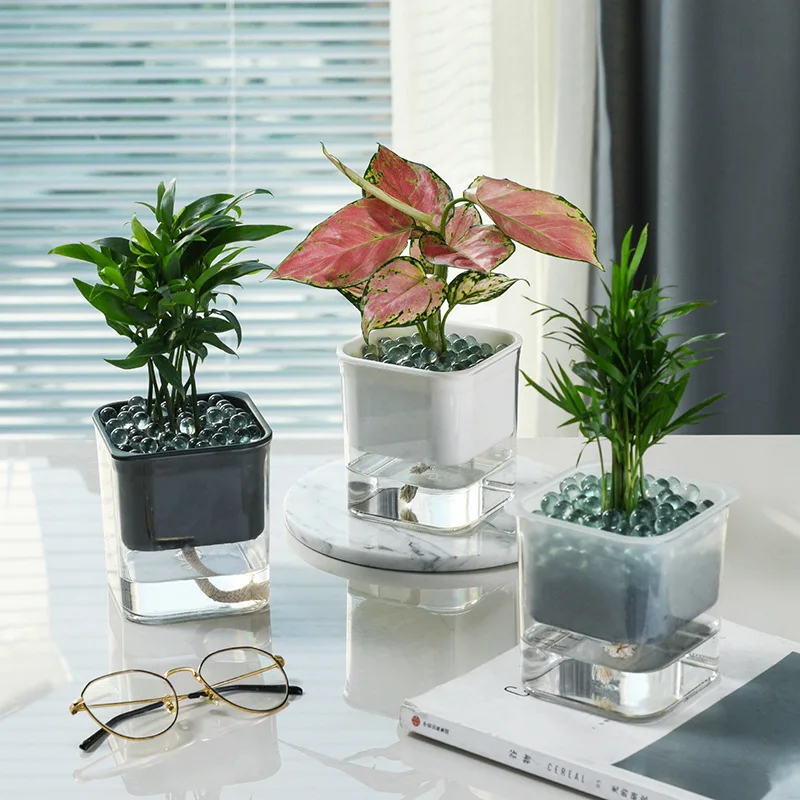 

Hydroponic Flowerpot Self Watering Planters Stylish Water-saving Desktop Planter for Home Apartment Office Green Decoration