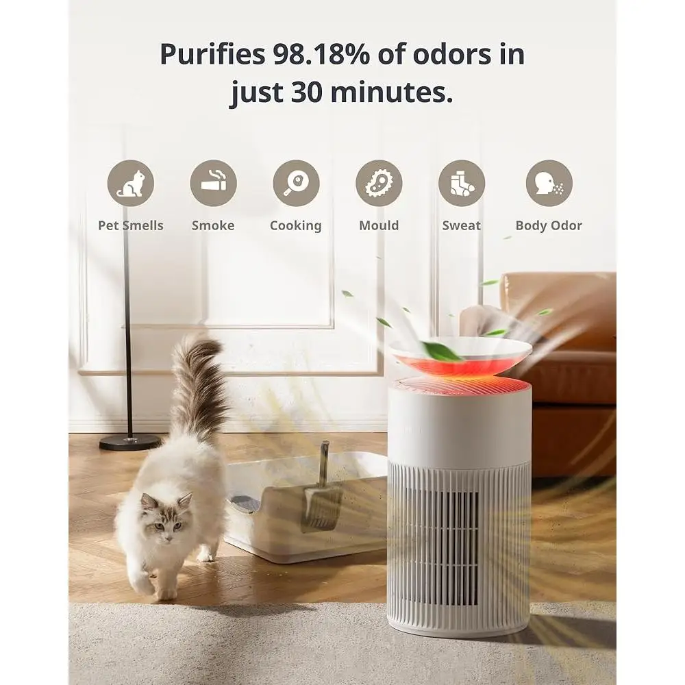 منقي الهواء ومكنسة روبوت صغيرة K10 360 °   مدخل الحيوانات الأليفة ودية المتقدمة خوارزمية طريق LiDAR تنظيف حر اليدين كفاءة الغبار