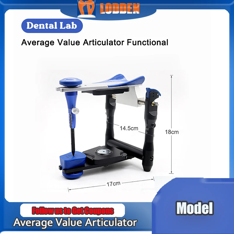 Dental Artex BN Model Functional Articulator Teeth Model Accurate Scale Plaster Model Dentistry Lab Equipment Dental Tools